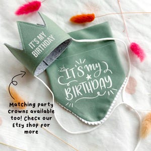 Birthday Dog Bandana, Birthday Pet Accessory, Slide on Collar Bandana image 6
