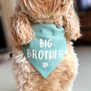 Op de afbeelding: Een driehoekige bandana voor huisdieren in een gedempte saliegroene kleur met de witte tekst BIG BROTHER in een strak schreefloos lettertype, met een klein wit pootafdruk-icoon met een minuscuul hartje onder de tekst.