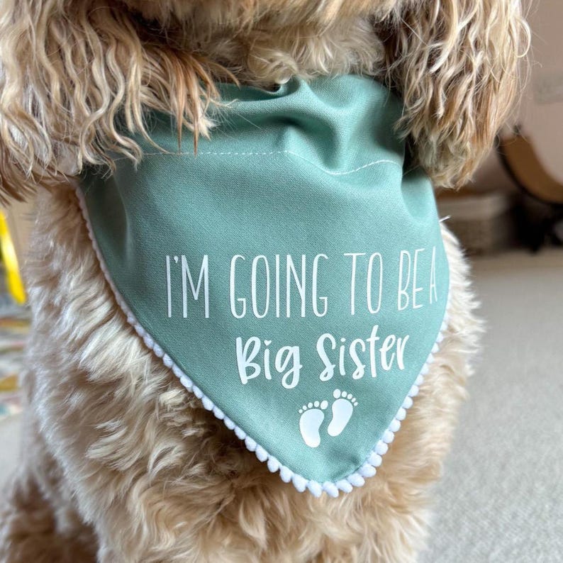 Big Brother To Be Dog Bandana Pregnancy Baby Announcement Dog Scarf Accessory image 2