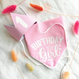 Bandana de aniversário para cachorro, conjunto de bandana e chapéu para aniversariante, presente de primeiro aniversário para filhote de cachorro