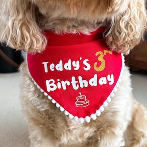Birthday Dog Bandana, Personalised Puppy First Birthday Accessory image 3