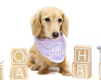 Big Sister Baby Announcement Dog Bandana, Big Brother Big Sister, Baby Photoshoot, Cute Pastel Colour Dog Bandana Accessory