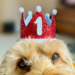 Dog Birthday Crown, Glitter Sparkly Pet Party Hat, First Birthday Accessory Decor, Custom Age