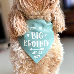 Ogłoszenie ciąży Big Brothera, akcesorium do bandany dla psa Baby Reveal