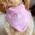 Big Sister Pregnancy Announcement Dog Bandana Accessory
