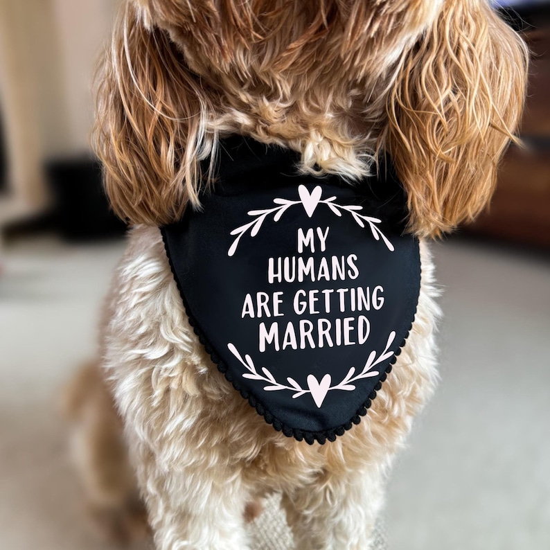 My Humans Are Getting Married Dog Bandana, Engagement Announcement, Keepsake Photoshoot Dog Owners Gift, Soon to be Married