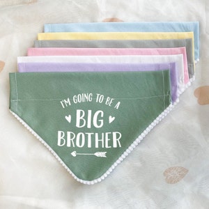 Pregnancy Announcement, Big Brother Big Sister Dog Bandana, Baby Announcement Photoshoot, Pastel Colour Dog Bandana, Over the Collar image 1