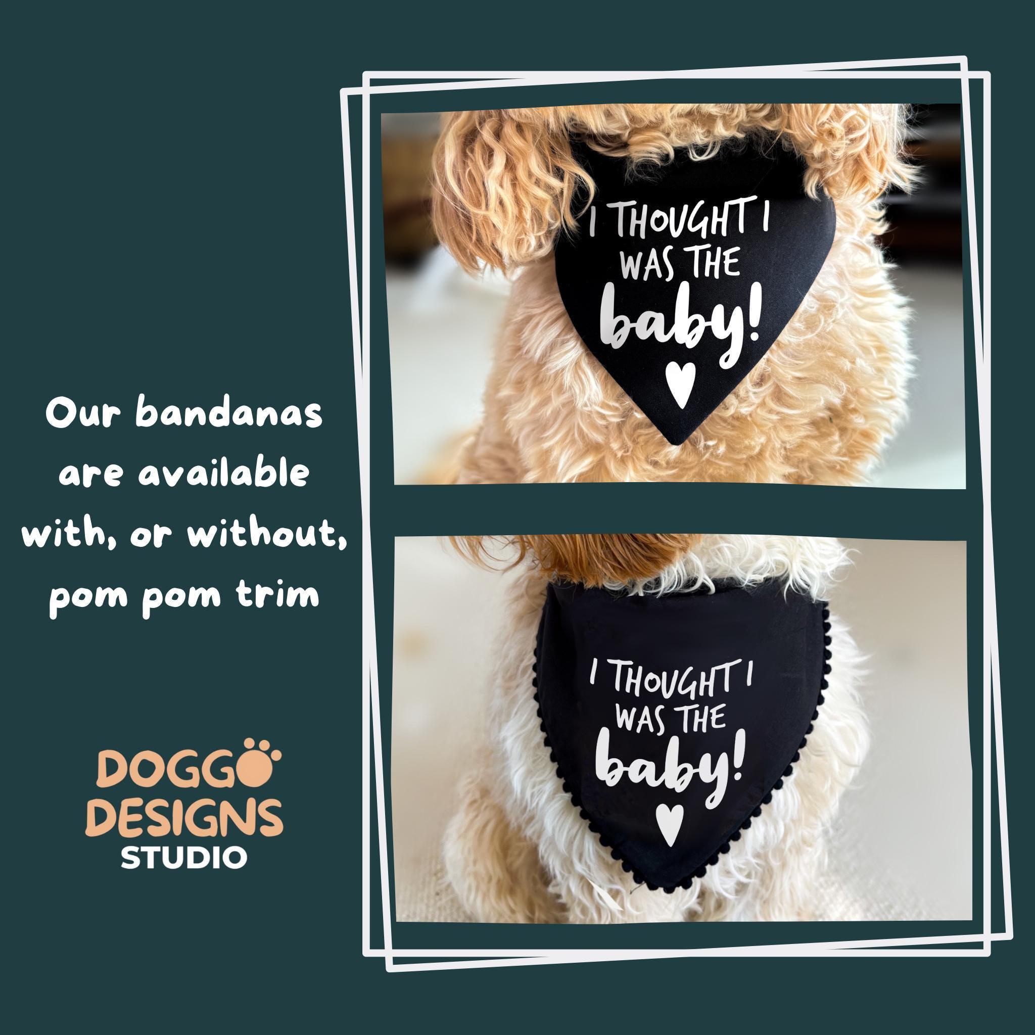 Hundehalstuch Zur Schwangerschaftsankündigung – „I Thought I Was The Baby!“ Für Kleine Hunde