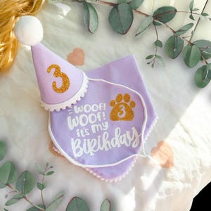 Birthday Dog Bandana Accessory, Puppy Bday Gift, Birthday Girl Bandana and Hat Set, First Birthday
