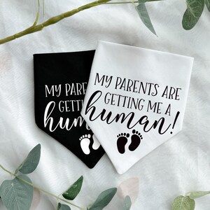 Pregnancy Announcement Dog Bandana, My Parents are Getting Me a Human Accessory, Baby Shower Gift, Puppy Accessory Scarf, Dog Photoshoot image 6