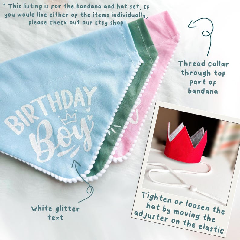 Dog Birthday Bandana, Birthday Boy Bandana and Hat Set, Dog Birthday Gift image 7