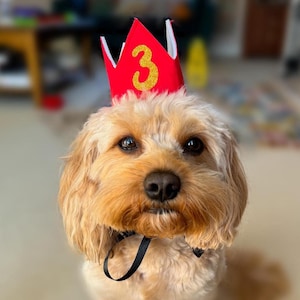 Pet Party Crown, Birthday Party Hat for Dog, Birthday Accessory Custom Age
