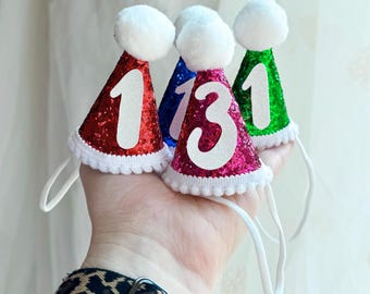 Extra Small Birthday Hat for Small Animal, Rabbit Guinea Pig Hamster Cat Birthday Party Hat, Birthday Accessory Custom Age