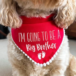 Big Brother To Be Dog Bandana Pregnancy Baby Announcement Dog Scarf Accessory image 3