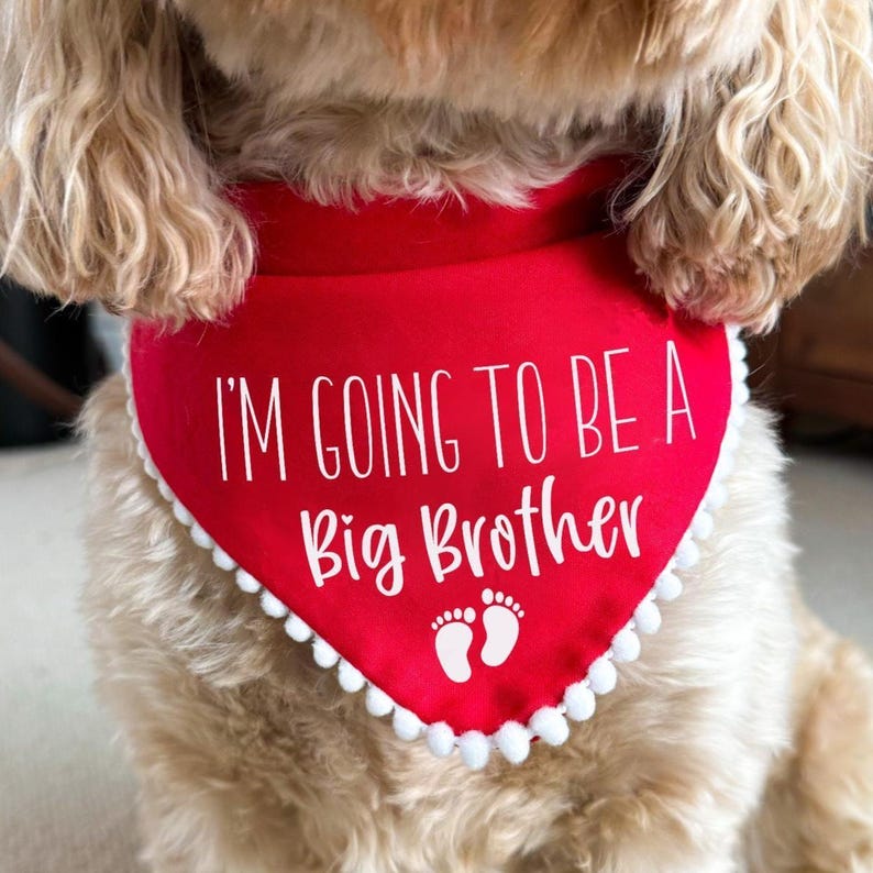 Big Brother To Be Dog Bandana Pregnancy Baby Announcement Dog Scarf Accessory image 3
