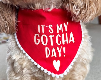 Gotcha Day Dog Bandana, Dog Birthday, Personalised Pet Accessory