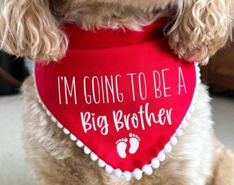 Bandana para perro de Gran Hermano, accesorio para sesión de fotos de anuncio de embarazo y bebé