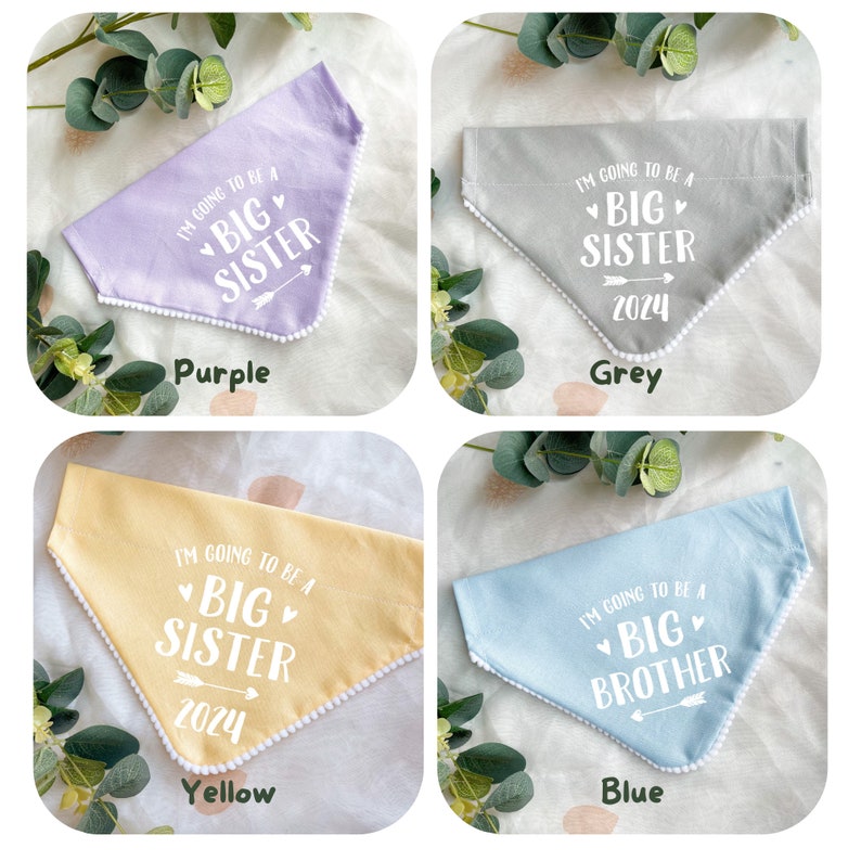 Pregnancy Announcement, Big Brother Big Sister Dog Bandana, Baby Announcement Photoshoot, Pastel Colour Dog Bandana, Over the Collar image 5