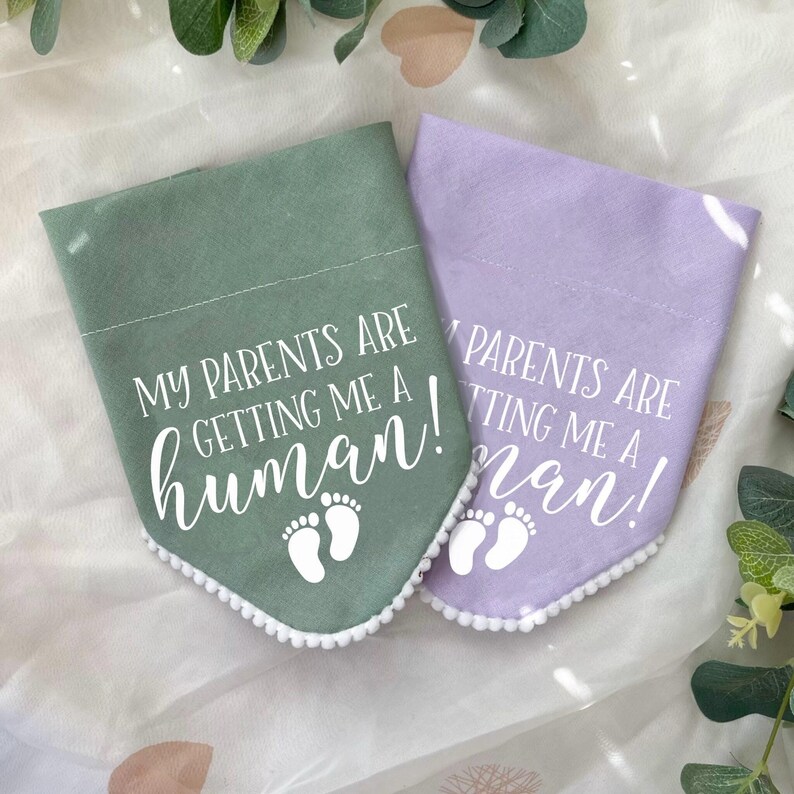 Pañuelo para perro para anunciar el embarazo, Mis padres me van a dar un bebé, Regalo divertido para anunciar el embarazo, Accesorio para sesión de fotos de cachorros imagen 8