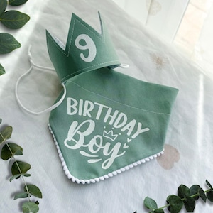 Chapéu e bandana para aniversário de animal de estimação, presente personalizado para festa de aniversário de cachorro, coroa de aniversário, sessão de fotos do primeiro aniversário de cachorro