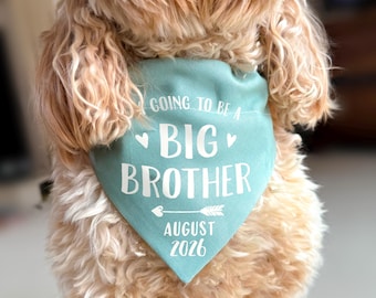 Bandana para perro con anuncio de embarazo de Gran Hermano y revelación de bebé