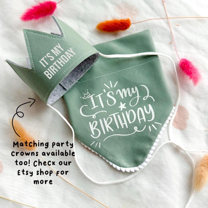 Birthday Dog Bandana, Birthday Pet Accessory, Slide on Collar Bandana image 5