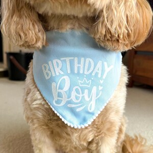 Birthday Dog Bandana, Birthday Pet Accessory, Slide on Collar Bandana image 3