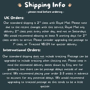 text that provides shipping information for both UK and international orders. It advises on the shipping service, the standard shipping class, and the tracking of international orders. The text also mentions the estimated delivery dates and suggests placing the order 2-3 weeks in advance to account for potential delays.