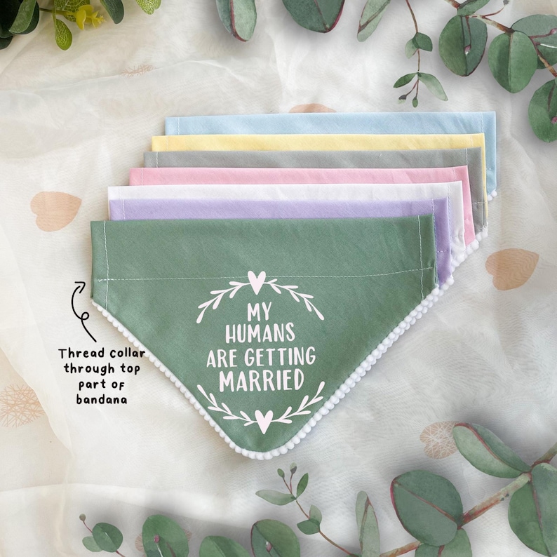 Custom Text Dog Bandana, Personalised Pet Accessory, Pet Announcement, Design Your Own 画像 7