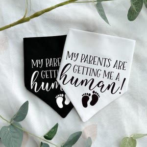 Pañuelo para perro para anunciar el embarazo, Mis padres me van a dar un bebé, Regalo divertido para anunciar el embarazo, Accesorio para sesión de fotos de cachorros imagen 5