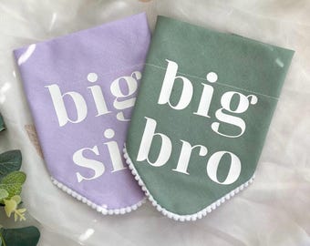 Pregnancy Baby Announcement Dog Bandana, Big Brother Big Sister, Baby Photoshoot, Cute Pastel Colour Dog Bandana Accessory