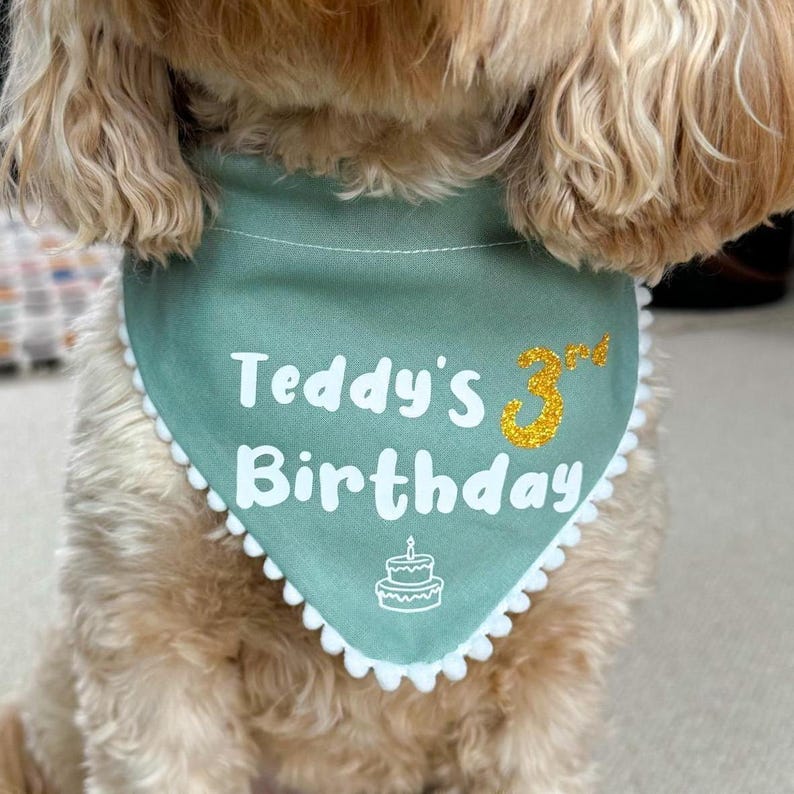 Birthday Dog Bandana, Personalised Puppy First Birthday Accessory image 7