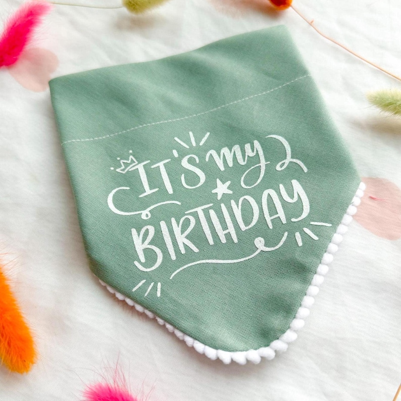 Birthday Dog Bandana, Birthday Pet Accessory, Slide on Collar Bandana image 1