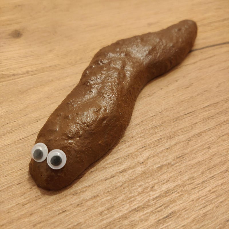Fake Realistic Poop - Etsy