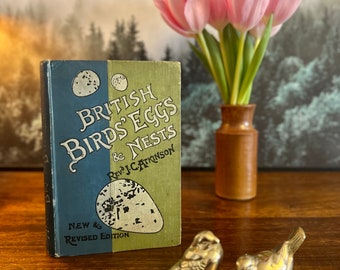 British Birds Eggs & Nests by Rev. J. C. Atkinson with Beautiful Colour Plates, Antique Bird Book