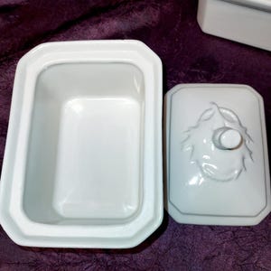 May include: White rectangular butter dish with a lid featuring a raised fruit design and a small knob. The dish is open, revealing its interior. The set is made of ceramic and sits on a purple surface.