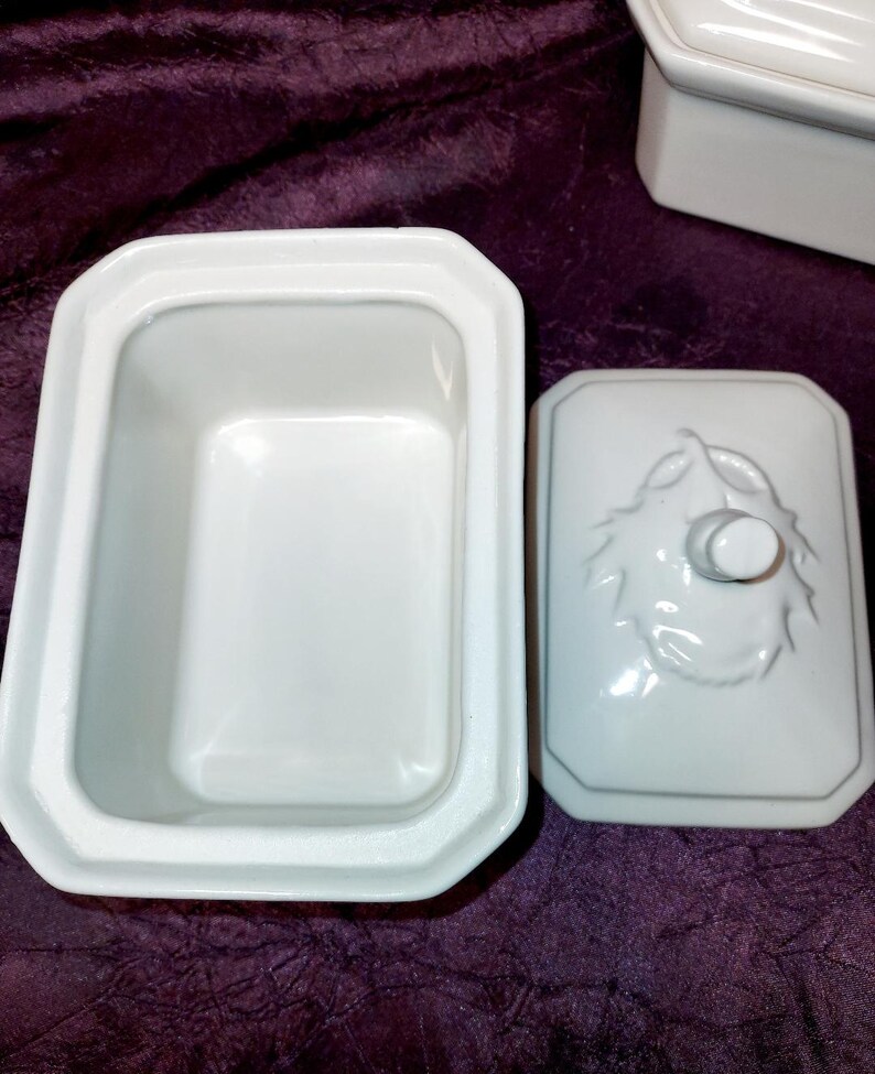 May include: White rectangular butter dish with a lid featuring a raised fruit design and a small knob. The dish is open, revealing its interior. The set is made of ceramic and sits on a purple surface.