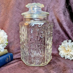 May include: A clear glass canister with a matching lid, featuring a vertical embossed pattern of swirling scrolls and raised dots. The container has a hexagonal base and a rounded top, providing a transparent storage solution for various items.