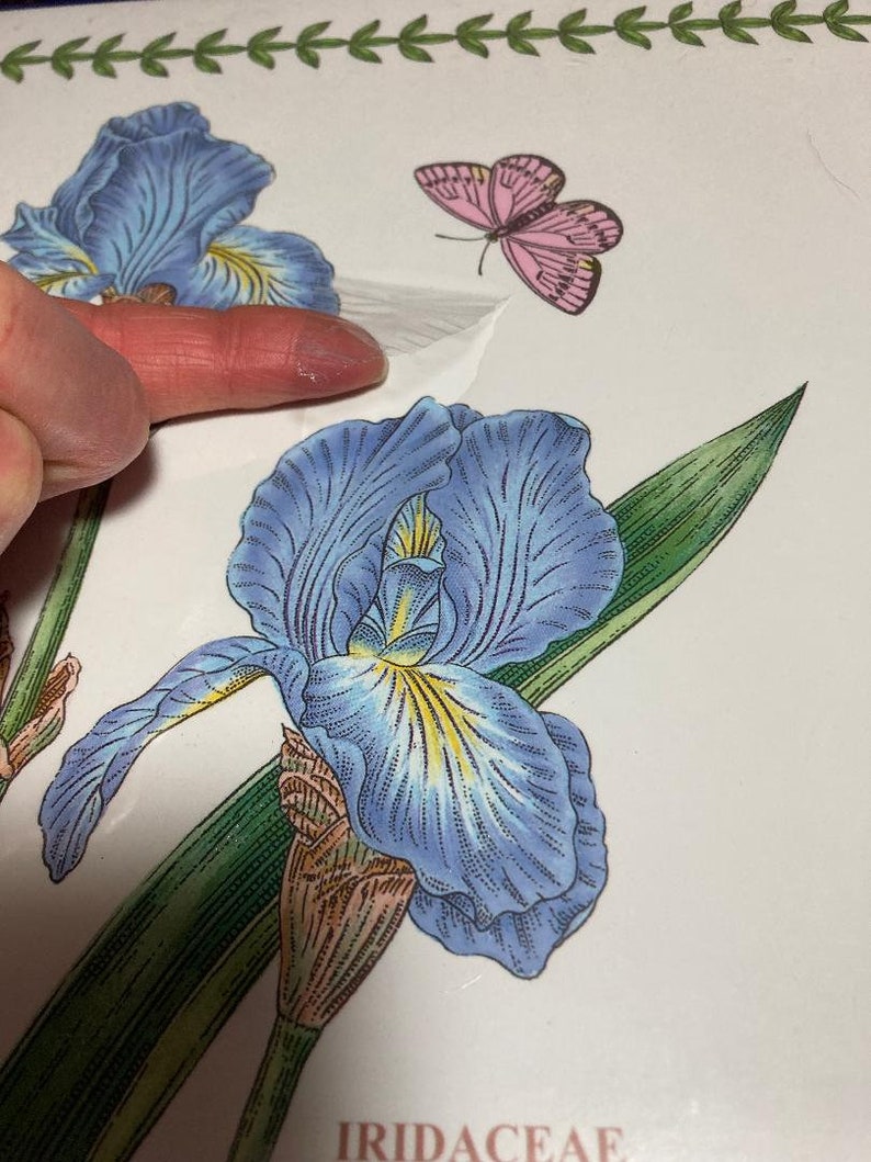 Pimpernel New Old Stock Iris Butterfly Floral Vines Placemats Etsy