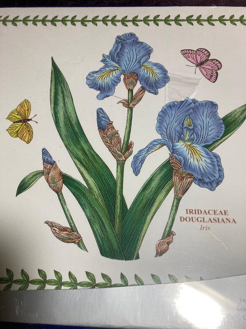Pimpernel New Old Stock Iris Butterfly Floral Vines Placemats Etsy