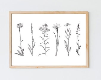 Black and White Wildflower Art Print | Modern Botanical Decor | Simple Floral Minimalistic Art Print