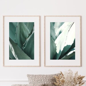 Cactus Print Set of 2, Printable Wall Art, Desert Wall Art, Botanical Cactus Print Set, Cactus Wall Art Prints