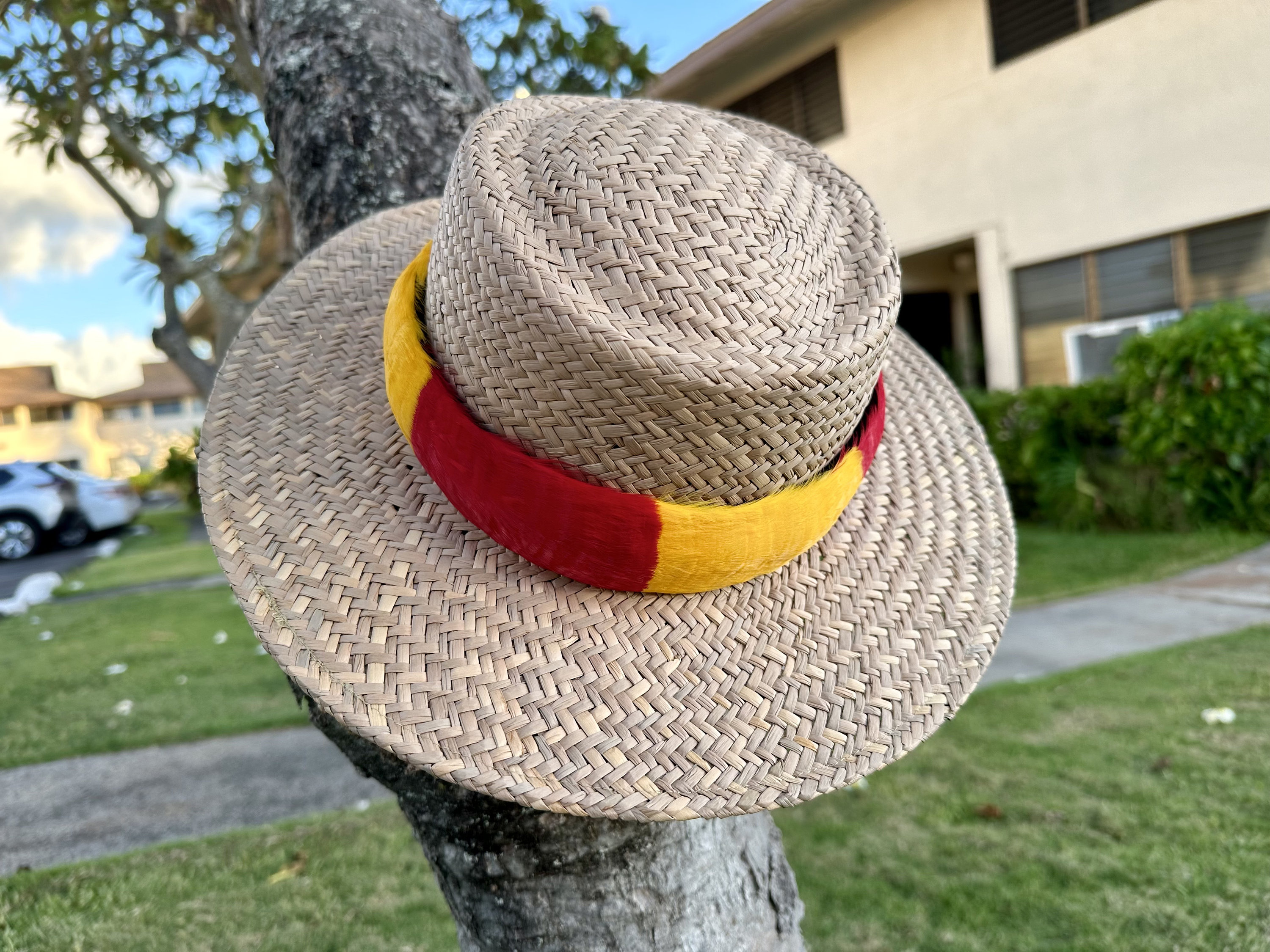 Hawaiian Feather Hat Band-dyed Goose Humupapa - Etsy