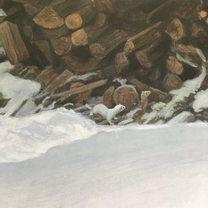 Woodshed in Winter-Ermine-Robert Bateman