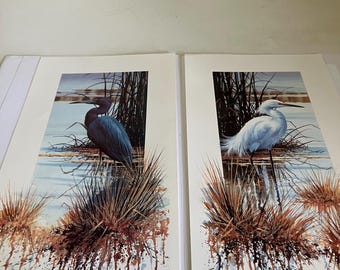Set of 2-Snowy Egret & Little Blue Heron-LE Prints-Luke Buck
