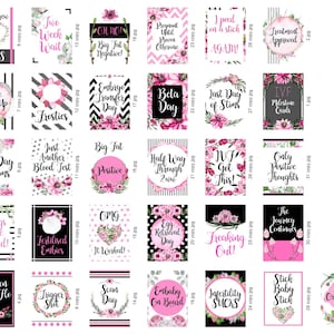 Cartes d'étape de la FIV
