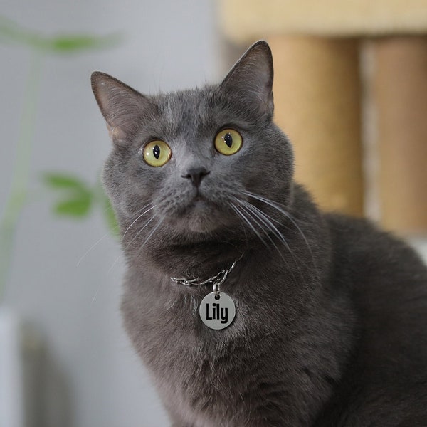Custom Metal Pet Collar Chain | Cute Pet Collar Chain | Designer Pet Collar Chain | Best Pet Supplies | Custom Cat Chain | Dog Mom Gift