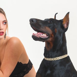 Cadena de perro de enlace cubano personalizada / Cadena de collar de mascota linda / Cadena de collar de mascota de diseño / Los mejores suministros para mascotas / Cadena de perro personalizada / Regalo de mamá perro