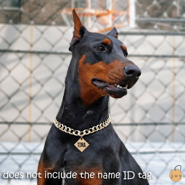 Custom Metal Pet Collar Chain | Cute Pet Collar Chain | Designer Pet Collar Chain | Best Pet Supplies | Custom Dog Chain | Dog Mom Gift