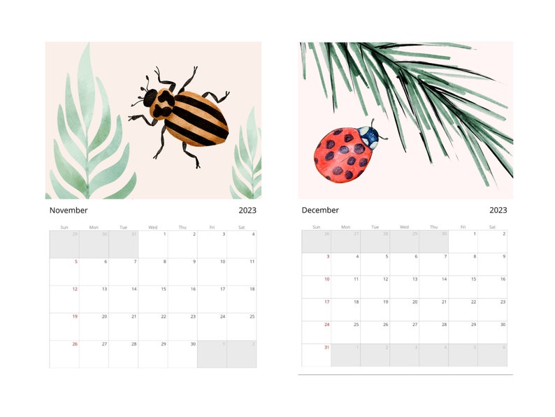 20232024 Insects Calendar Insects Academic Calendar Etsy